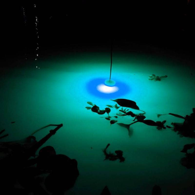 Mini lámpara de atracción de p - Fishing Boat Navigation Light reseña y precio