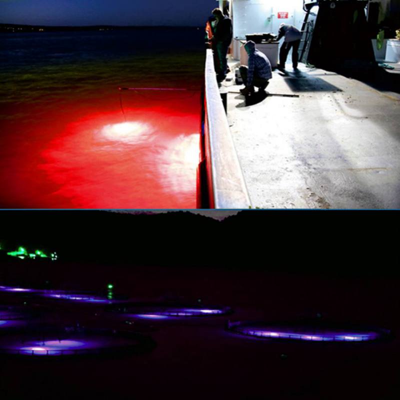 Mini lámpara de atracción de p - Fishing Boat Navigation Light reseña y precio