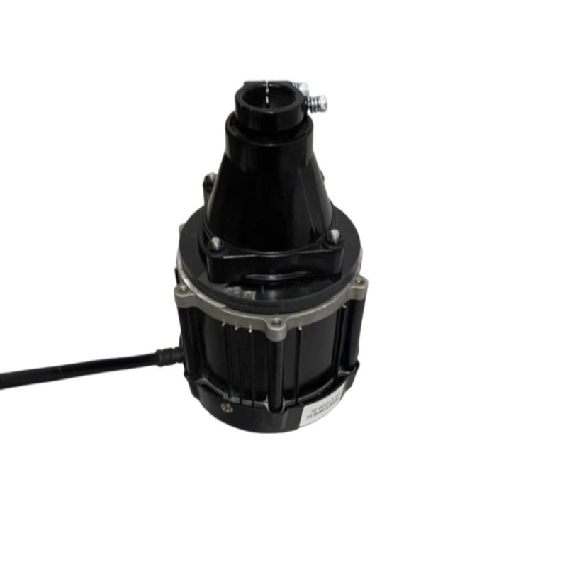 Motor fueraborda sin escobilla - Fishing Boat Oar reseña y precio